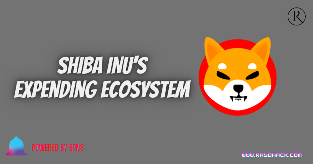 Shiba Inu cryptocurrency in detail